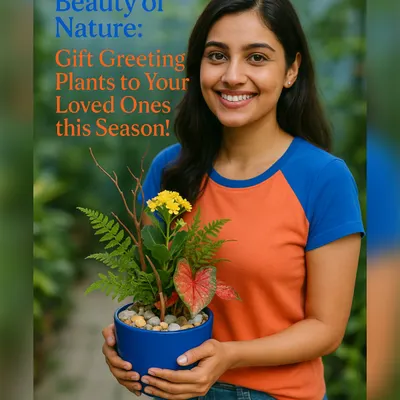 This beautiful arrangement in a blue ceramic pot is one of our most popular personal gifts. It combines the textures and colors of different plants like Kalanchoe and ferns to create a living bouquet that lasts.