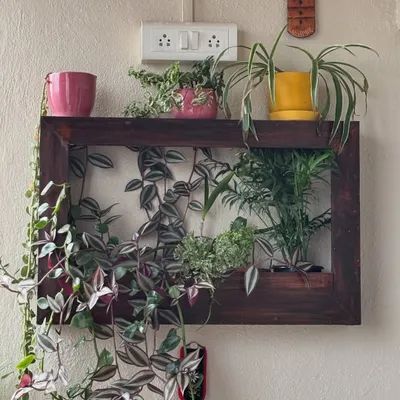 This custom plant frame, made from Assam teak, is a perfect way to create a living wall garden in a small space. It's a dynamic piece that can be updated with different plants over the years.