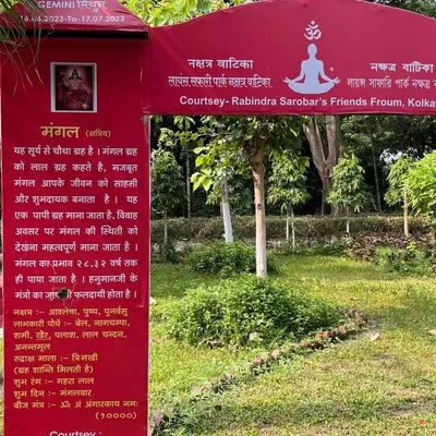 A visit to a Nakshatra Vatika, a garden where plants are linked to planetary energies. This image shows the display for Mars (Mangal), explaining its significance and the plants associated with it. This is a natural way to connect with planetary energies.
