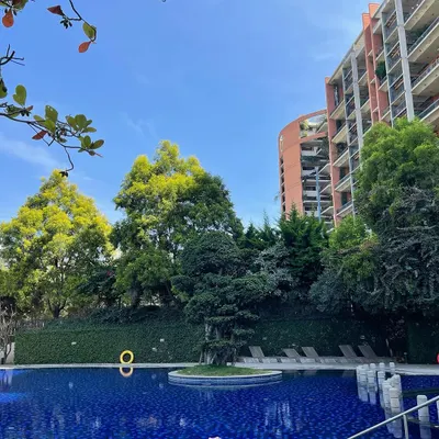 The perfect blend of modern living and natural tranquility. This property features a large, inviting swimming pool set against a backdrop of lush trees and contemporary architecture.
