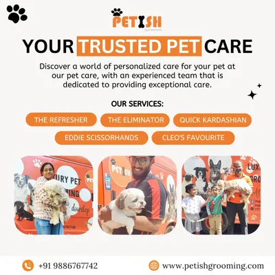 Here’s a quick look at my most popular grooming packages. Whether you need "The Refresher" or a full "Cleo's Favourite" spa day, I have a service tailored for your pet.