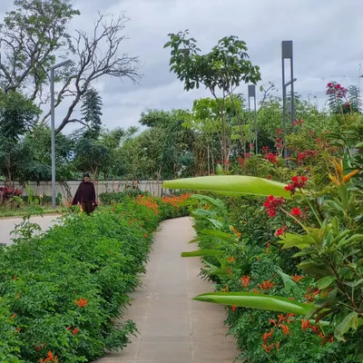A pathway lined with lush, flowering hedges and native plants. Our softscape designs create immersive experiences, with layers of foliage and seasonal color that make a simple walk feel like a stroll through a garden.