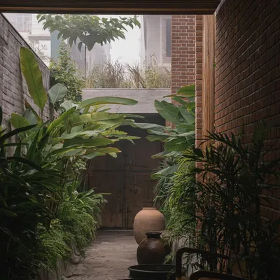 A misty morning in the central passage of the Valsad home. I used layers of shade-loving plants like ferns and large-leafed Alocasia to create a cool, tranquil atmosphere that connects different parts of the house.
