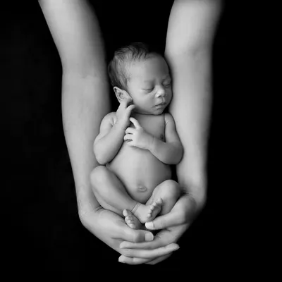 A newborn held safely in their parent's hands, captured in stunning black and white. This artistic style strips away everything but the pure emotion and form, creating a powerful piece of art.