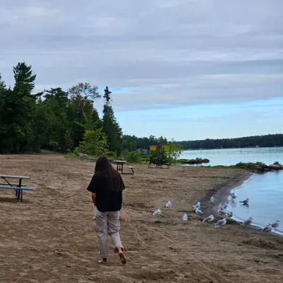 What if you were to do ordinary things, like walking on a beach, and see them as extraordinary? Writing is like that. It's a way to pause, look around, and absorb the beauty you are witnessing on the journey of life.