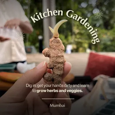 Dig in, get your hands dirty, and learn to grow your own herbs and veggies. Our Kitchen Gardening workshop in Mumbai is a grounding experience that connects you with your food and the soil.