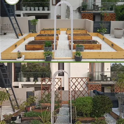 The ultimate proof of transformation. This before-and-after shot of a client's terrace shows how I can turn a plain, empty space into a vibrant and productive edible garden.