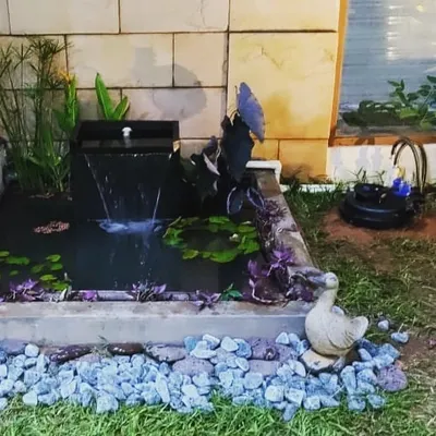 This is a sustainable bio-pond I executed for a client in Kalyan Nagar. It's a complete aquatic ecosystem with a small waterfall, water lilies, and other aquatic plants that creates a natural and relaxing environment.