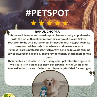 A wonderful and detailed review from Dr. Rahul Chopra about his 8.5-year-old Golden Retriever's move to the UAE. I'm so glad I could provide a professional, genuine, and friendly atmosphere for his boy.