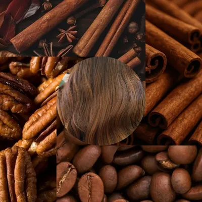 Our mood board for the warm and spicy Cinnamon Brown shade, inspired by natural elements like cinnamon sticks, pecans, and coffee beans.