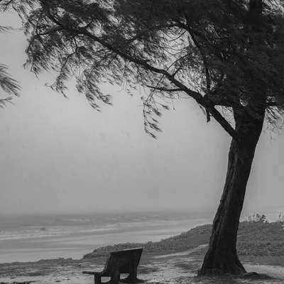 A moody, solitary scene captured in black and white. The rain and wind add a sense of drama to this quiet moment by the sea.