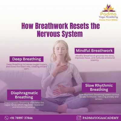 Learn how breathwork resets the nervous system. Techniques like deep, diaphragmatic, and slow rhythmic breathing can create instant calm and emotional stability.