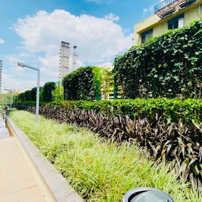 For this commercial property, we created a layered hedge using plants of different colors and textures, topped with a flowering vine on a trellis. This approach creates a visually interesting and low-maintenance green boundary.
