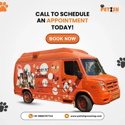 This is my custom-built mobile grooming van, ready to bring luxury pet care right to your home in Bangalore. Just call to schedule an appointment!