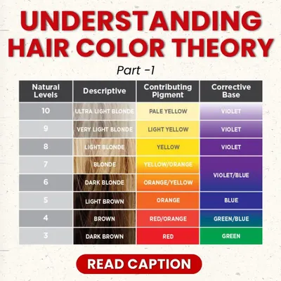 Understanding hair color theory is fundamental. This chart shows the natural hair levels, their underlying pigments, and the corrective bases needed to neutralize unwanted tones, which is essential knowledge for any colorist.