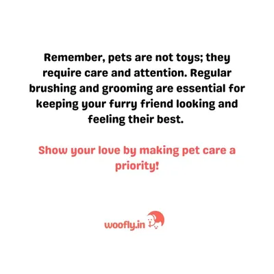 Making pet care a priority means paying attention to their grooming needs. Regular brushing is not just for appearance; it is essential for keeping your furry friend comfortable and healthy.