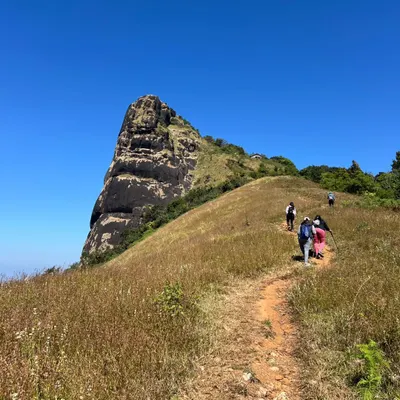 The unique and rocky Kurinjal peak, as seen from the trekking trail. It's a rewarding climb with fantastic views.