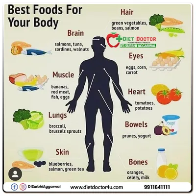 This infographic is a map to eating for your entire body. It shows which foods specifically benefit different organs, such as salmon for the brain, tomatoes for the heart, and green vegetables for your hair.
