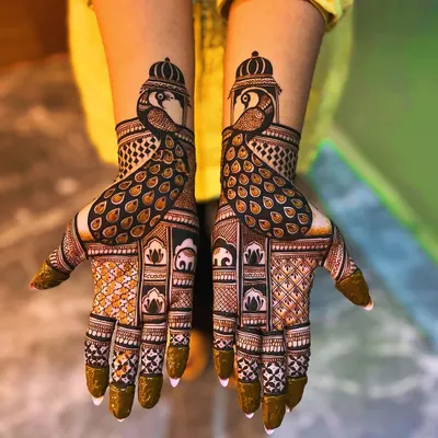 A stunning example of symmetrical peacock designs. Each hand features a majestic peacock with an elaborate tail, complemented by elephant and lotus motifs within the intricate grid work on the palm.