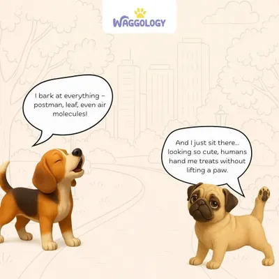 This cartoon perfectly captures the two types of dog personalities. Some dogs bark at everything, while others have mastered the art of getting treats just by looking cute. Every dog is unique, and I love working with all of them.