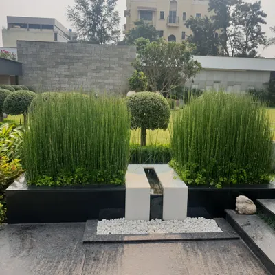 A close-up of a minimalist water feature where water gently flows between two white stone blocks, flanked by tall, sculptural horsetail reeds. This design exemplifies how simple, clean lines and natural textures can create a powerful and modern focal point.
