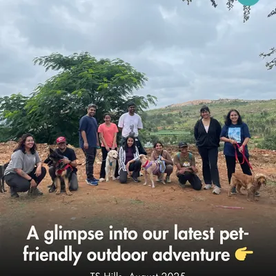 A glimpse into our latest pet-friendly outdoor adventure at TS Hills. This group of pet parents and their dogs are all smiles after a rewarding morning hike.