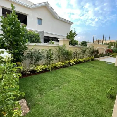 A classic backyard transformation featuring the installation of a lush, natural grass lawn. We also planted a border of tropical plants along the wall to add privacy and a layered, green texture to the space.