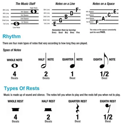 Here is a quick guide to understanding the music staff, notes, and rests. Knowing these basics is the first step to reading music fluently.