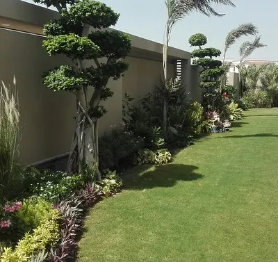 This garden features our expert topiary work, with trees sculpted into beautiful, artistic shapes. We combine these feature plants with ornamental grasses and a pristine lawn for a sophisticated look.