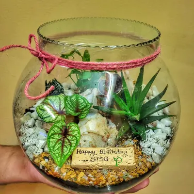 A personalized terrarium makes a wonderful birthday gift. This enclosed bowl creates a self-sustaining ecosystem for delicate plants and features a custom "Happy Birthday" message inside.
