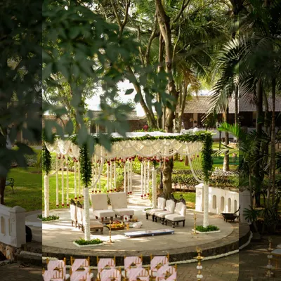 A wide view of this minimalist mandap at Angana The Courtyard, showing how the structure integrates with the venue's natural amphitheater. The design uses the surrounding trees as a natural backdrop, enhanced by simple floral garlands.