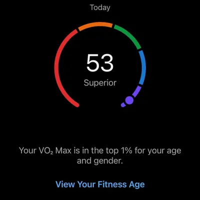 A VO2 Max of 53, in the top 1% for my age and gender. This is a key metric we track to measure your aerobic fitness. My coaching is focused on workouts that systematically improve this number.