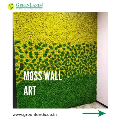 This is a custom-designed preserved moss wall I installed in Pune. Using different shades of green and yellow moss, I created a unique, textured art piece that brings the feel of nature indoors with absolutely no watering or sunlight required.