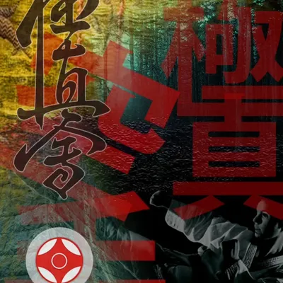 The philosophy of Kyokushin is deep and powerful. This art represents the search for the ultimate truth.