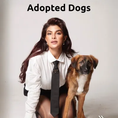 We love to see Indian actors using their platform to promote adoption. Every time a celebrity gives a home to an indie dog, it sends a powerful message: Adopt, Don't Shop.