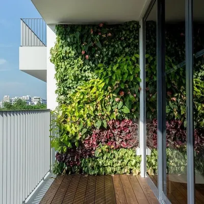 A stunning example of a residential vertical garden on a balcony. The mix of different leaf textures, colors, and flowering plants creates a rich, natural tapestry that enhances the view and purifies the air.