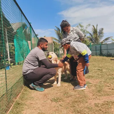 A scene from our 'Kids and Canines Classroom'. Here, one of our trainers guides a child on how to properly interact with a dog, teaching empathy and safe handling from a young age.