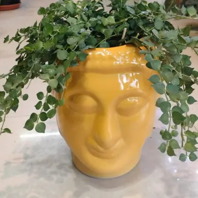 Another view of our popular Buddha face planter, this time with a lush Million Hearts plant. This ceramic pot adds a sense of calm and personality to your plant display.