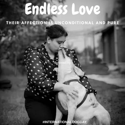 For International Dog Day, I created this series to celebrate all the reasons why dogs are the best: their endless love, unmatched loyalty, and playful spirit. They truly are our protective guardians and forever-young best friends.