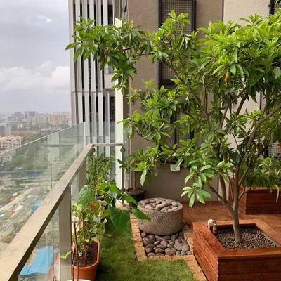 A fully realized balcony garden featuring a rustic stone water feature surrounded by smooth river pebbles. This setup not only adds the calming sound of water but also serves as a beautiful, natural focal point next to the wooden planter box and lawn.