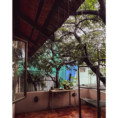 A view from our office balcony in Bangalore. We believe in creating spaces that connect with nature, and our own workspace is designed to be a source of calm and inspiration.
