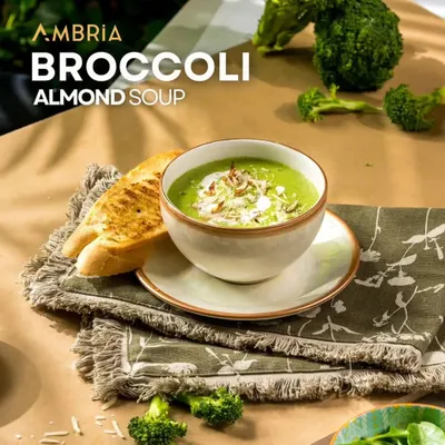 A warm and wholesome bowl of Broccoli Almond Soup, garnished with toasted almonds and served with grilled bread. A healthy and comforting start to any meal.