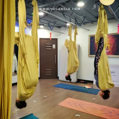 Welcome to our studio, where you can leave the stress of the ground behind. This shot captures the serene, focused atmosphere of an inversion session, where students learn to let go and trust the hammock.