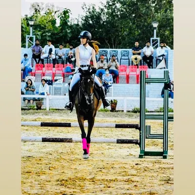 A rider demonstrates perfect form and focus while approaching an obstacle during a show jumping event. Our training emphasizes balance and clear communication with the horse.
