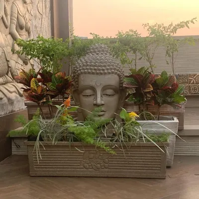 This unique planter featuring a Buddha head is a perfect centerpiece for a tranquil terrace garden. The combination of the serene statue with the vibrant foliage of croton plants creates a powerful and peaceful statement.