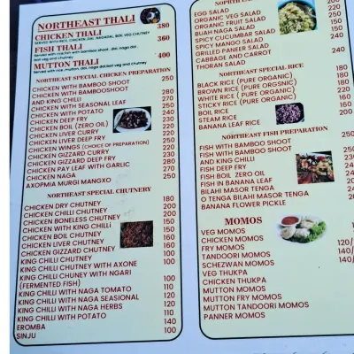 A look at our extensive menu featuring Thalis, special chicken preparations, chutneys, rice, fish dishes, and momos.