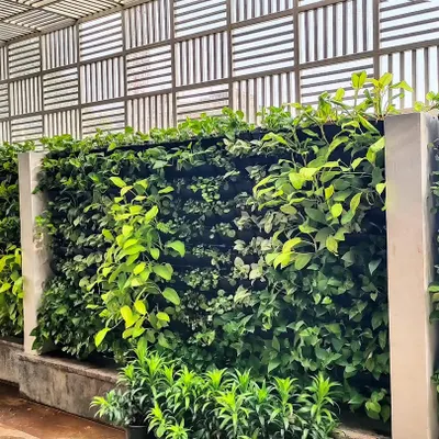 Here is a detailed look at a completed living wall project. We used a variety of leafy green plants to create texture and depth, resulting in a lush, thriving vertical garden that serves as a major focal point for the building's exterior.