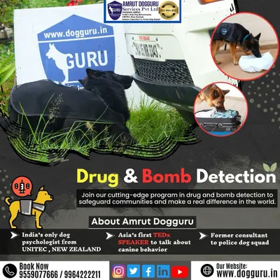 This graphic provides a clear overview of our drug and bomb detection capabilities. It shows our dogs at work sniffing a vehicle, luggage, and a suspicious package, demonstrating the range of our screening services.