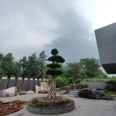 A sculpted topiary tree serves as a living sculpture and a central focal point in this driveway. Even during construction, we focus on integrating key landscape elements that will define the home's character.