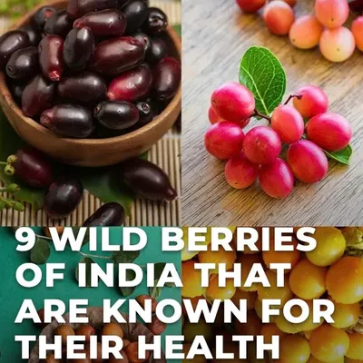 This collage showcases some of the wild berries of India known for their health benefits. Eating local and seasonal food is a cornerstone of my philosophy for optimal health.